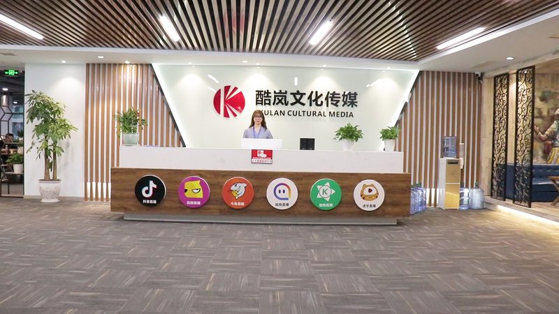 媒介投放策略制定：行业案例解析**