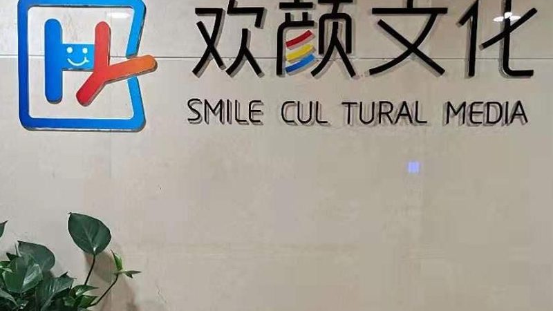 VI定制报价：揭秘影响价格的关键因素